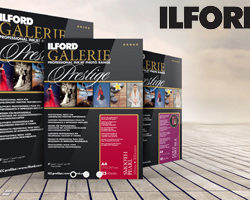 Ilford Galerie Prestige Glossy Photo (IGPGP)