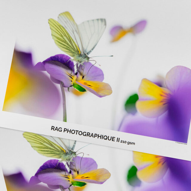 Canson Rag Photographique II 210g