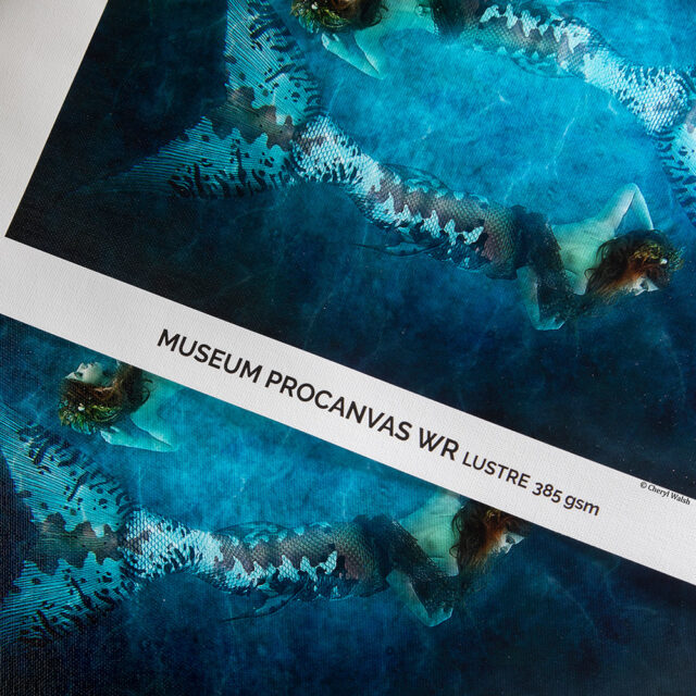 Canson Museum Pro Canvas WR Lustre 385g