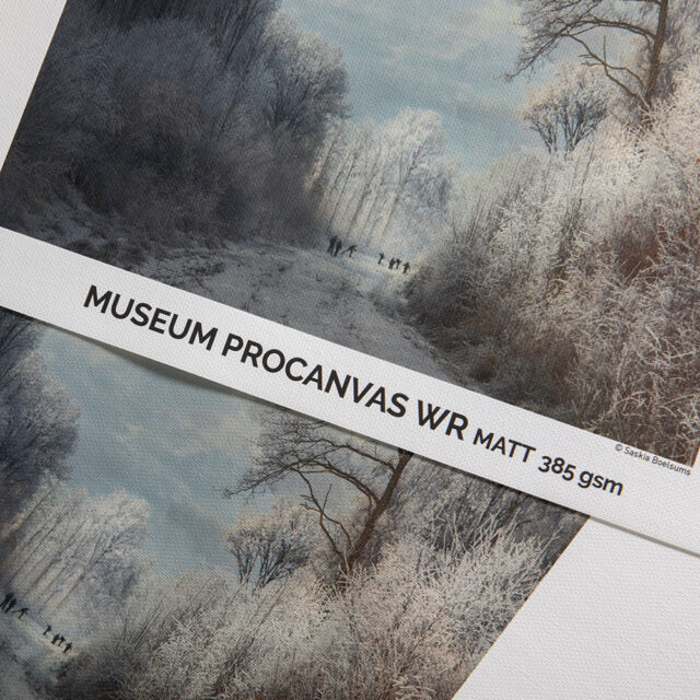 Canson Museum Pro Canvas WR Matt 385g